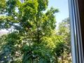 1-бөлмелі пәтер · 40.1 м² · 3/5 қабат, Римского Корсакова 3 — Бухар Жырау, бағасы: 49 млн ₸ в Алматы, Бостандыкский р-н — фото 16