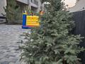 4-бөлмелі пәтер · 200 м² · 2/2 қабат, мкр Нур Алатау, Әбілқайыр хан 111 — Парк первого президента, бағасы: 245 млн ₸ в Алматы, Бостандыкский р-н — фото 36