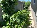 Отдельный дом · 5 комнат · 237 м² · 6 сот., Рыскулбекова 38 — Магазин Айбек за 83 млн ₸ в Туздыбастау (Калинино) — фото 56