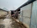 Отдельный дом · 3 комнаты · 200 м² · 8 сот., Кокбастау124 124 — Кокбастау 124 за 23 млн ₸ в Шымкенте, Туран р-н — фото 3