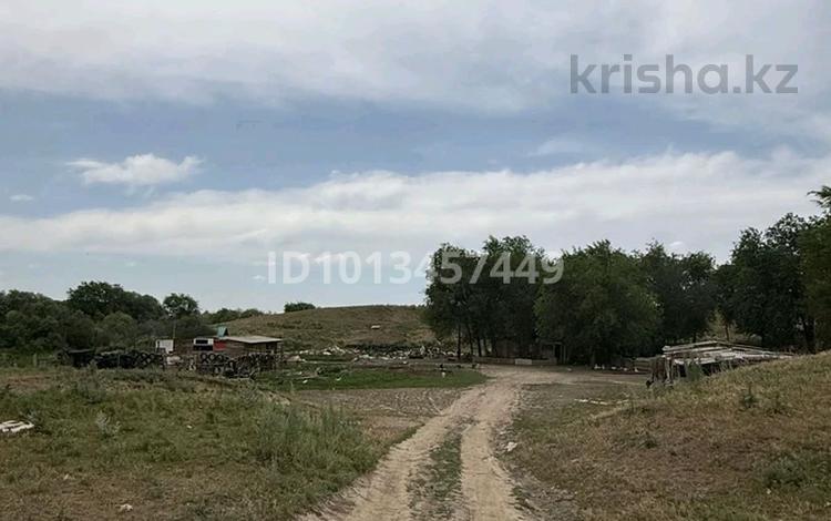Жер телімі · 1 га, Алатау, бағасы: 30 млн ₸ — фото 2