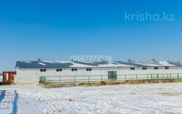 Сельское хозяйство · 1700 м² за 541 млн ₸ в Шелек — фото 28