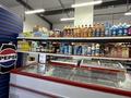 Действующий продуктовый магазин на Левом берегу · 120 м² за 35 млн ₸ в Астане, Есильский р-н — фото 10