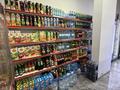 Действующий продуктовый магазин на Левом берегу · 120 м² за 35 млн ₸ в Астане, Есильский р-н — фото 11