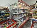 Действующий продуктовый магазин на Левом берегу · 120 м² за 35 млн ₸ в Астане, Есильский р-н — фото 12