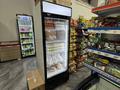 Действующий продуктовый магазин на Левом берегу · 120 м² за 35 млн ₸ в Астане, Есильский р-н — фото 14