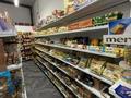 Действующий продуктовый магазин на Левом берегу · 120 м² за 35 млн ₸ в Астане, Есильский р-н — фото 18