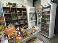 Действующий продуктовый магазин на Левом берегу · 120 м² за 35 млн ₸ в Астане, Есильский р-н — фото 3