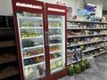 Действующий продуктовый магазин на Левом берегу · 120 м² за 35 млн ₸ в Астане, Есильский р-н — фото 5