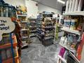 Действующий продуктовый магазин на Левом берегу · 120 м² за 35 млн ₸ в Астане, Есильский р-н — фото 6