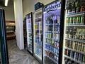Действующий продуктовый магазин на Левом берегу · 120 м² за 35 млн ₸ в Астане, Есильский р-н — фото 8