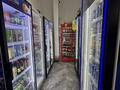 Действующий продуктовый магазин на Левом берегу · 120 м² за 35 млн ₸ в Астане, Есильский р-н — фото 9