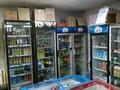 Магазины и бутики · 45 м² за 47 млн ₸ в Алматы, Турксибский р-н — фото 4
