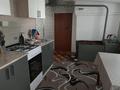 Отдельный дом · 4 комнаты · 47.5 м² · 11 сот., 2-я Набережная 78 за 7 млн ₸ в Павлодарской области — фото 3