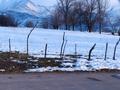 Жер телімі · 30 сотық, Бургулюк, бағасы: 23 млн ₸ — фото 3