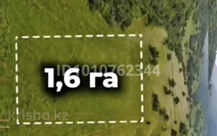 Участок · 1.6 га, Таутургень за 20 млн 〒 — фото 8