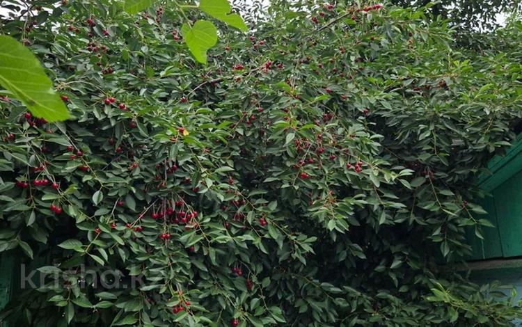 Часть дома · 5 комнат · 56 м² · 3 сот., Ачинская 15 — Кудерина за 26.5 млн 〒 в Алматы, Алатауский р-н — фото 2