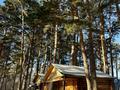 Действующий отель · 4700 м², бағасы: 2.7 млрд ₸ в Щучинске — фото 42