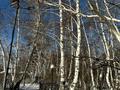 Действующий отель · 4700 м², бағасы: 2.7 млрд ₸ в Щучинске — фото 56