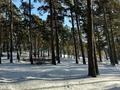 Действующий отель · 4700 м², бағасы: 2.7 млрд ₸ в Щучинске — фото 67