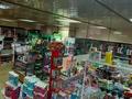 Магазины и бутики • 100 м² за 33 млн 〒 в Астане, Алматы р-н — фото 5