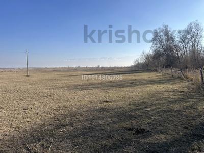 Участок · 200 соток, Киши Байсерке за 50 млн ₸