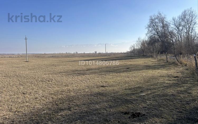 Участок · 200 соток, Киши Байсерке за 50 млн ₸ — фото 2