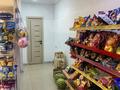 Еркін · 50 м², бағасы: 150 000 ₸ в Шымкенте, Каратауский р-н — фото 8