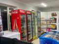 Еркін · 50 м², бағасы: 150 000 ₸ в Шымкенте, Каратауский р-н — фото 9