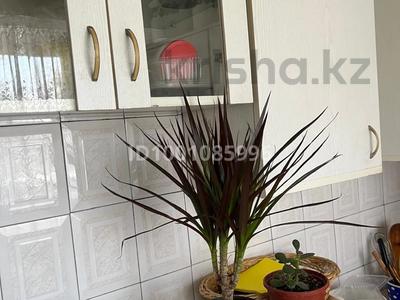 Продажа квартир в Жамбылской обл.: 2-комнатная квартира · 46 м² · 2/5 этаж, Пр Абая 135 — Пр Абая за 21 млн 〒 2-комнатная квартира · 46 м² · 2/5 этаж, Пр Абая 135 — Пр Абая за 21 млн 〒 в Таразе