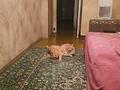 3-бөлмелі пәтер · 53.2 м² · 1/3 қабат, Габдуллина 61 — ПОМОГУ С ИПОТЕКОЙ, РЯДОМ С БОТАНИЧЕСКИМ САДОМ, АТАКЕНТ, бағасы: 38 млн ₸ в Алматы, Бостандыкский р-н — фото 5