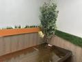 Свободное назначение · 70 м² за 45 млн ₸ в Актобе, мкр 8 — фото 8