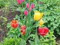 Отдельный дом · 4 комнаты · 55 м² · 4.5 сот., Аймауытова — Пр.Сейфуллина - Аймауытова, стадион Алаш за 45 млн ₸ в Алматы, Турксибский р-н — фото 27
