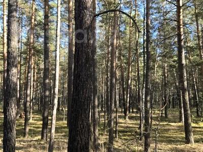 Продажа коммерческой недвижимости в Акмолинской обл.: Свободное назначение, офисы, магазины и бутики, склады, общепит, салоны красоты, бани, гостиницы и зоны отдыха, медцентры и аптеки, образование, развлечения · 400 м² за 59 млн 〒 Свободное назначение, офисы, магазины и бутики, склады, общепит, салоны красоты, бани, гостиницы и зоны отдыха, медцентры и аптеки, образование, развлечения · 400 м² за 59 млн 〒 в Бурабае