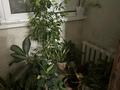 4-бөлмелі пәтер · 82.6 м² · 5/5 қабат, 5 мкр 33 — Возле 5 школа, бағасы: 35 млн ₸ в Конаеве — фото 3