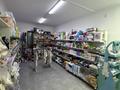 Магазины и бутики · 106 м² за 440 000 ₸ в Шымкенте, Абайский р-н — фото 10