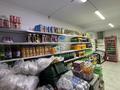 Магазины и бутики · 106 м² за 440 000 ₸ в Шымкенте, Абайский р-н — фото 12