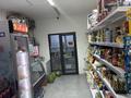 Магазины и бутики · 106 м² за 440 000 ₸ в Шымкенте, Абайский р-н — фото 8