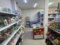 Магазины и бутики · 80 м² за 350 000 ₸ в Шымкенте, Каратауский р-н — фото 11