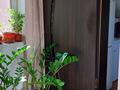 Часть дома · 3 комнаты · 66.3 м² · 1.58 сот., 40 лет Октября — Район 5 магазина за 14 млн ₸ в Затобольске (Тобыле) — фото 2