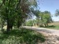 Отдельный дом · 2 комнаты · 70 м² · 5 сот., Уч квартал 163 696/10 — Узынбулак за 36 млн ₸ в Шамалгане — фото 2