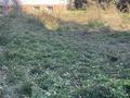 Участок · 6 соток, Чайжунусова 95 — Военная полиция.музей Невзорова.госпиталь УВД за 150 млн ₸ в Семее — фото 3