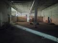 Еркін · 1500 м², бағасы: 265 млн ₸ в Аксукенте — фото 9