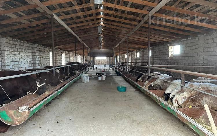 Сельское хозяйство · 2500 м² за 25 млн 〒 в  — фото 2