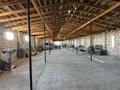 Сельское хозяйство · 2500 м² за 25 млн 〒 в  — фото 3
