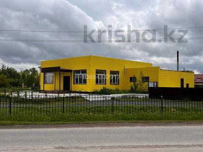 Свободное назначение · 250 м² за 85 млн ₸ в 