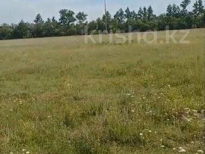 Участок · 2 га, Жибек жолы за 150 млн ₸