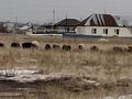 Участок · 10 соток, р-н Байконур за 2.8 млн ₸ в Астане — фото 3