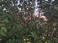 Жеке үй · 5 бөлме · 137.5 м² · 40 жүзд., Досымбекулы — Начало улицы, бағасы: 25 млн ₸ в Шакена Ниязбекова (Бесжылдык) — фото 19