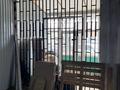 Свободное назначение, офисы, склады · 165 м² за 462 000 ₸ в Алматы, Алатауский р-н — фото 5